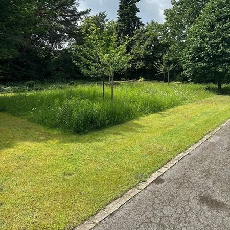 Friedhof Ummeln