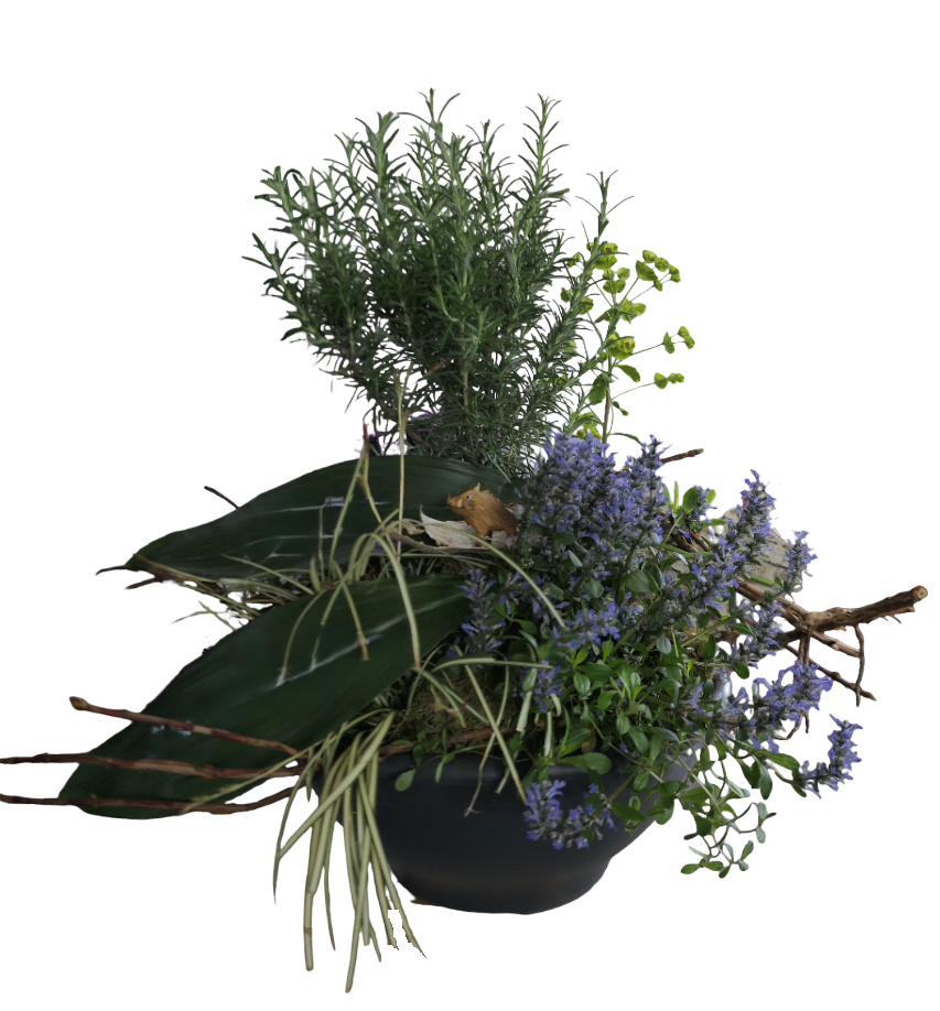 P1010640-Photoroom.png-Photoroom